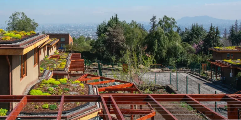 condominio-los-maitenes-2